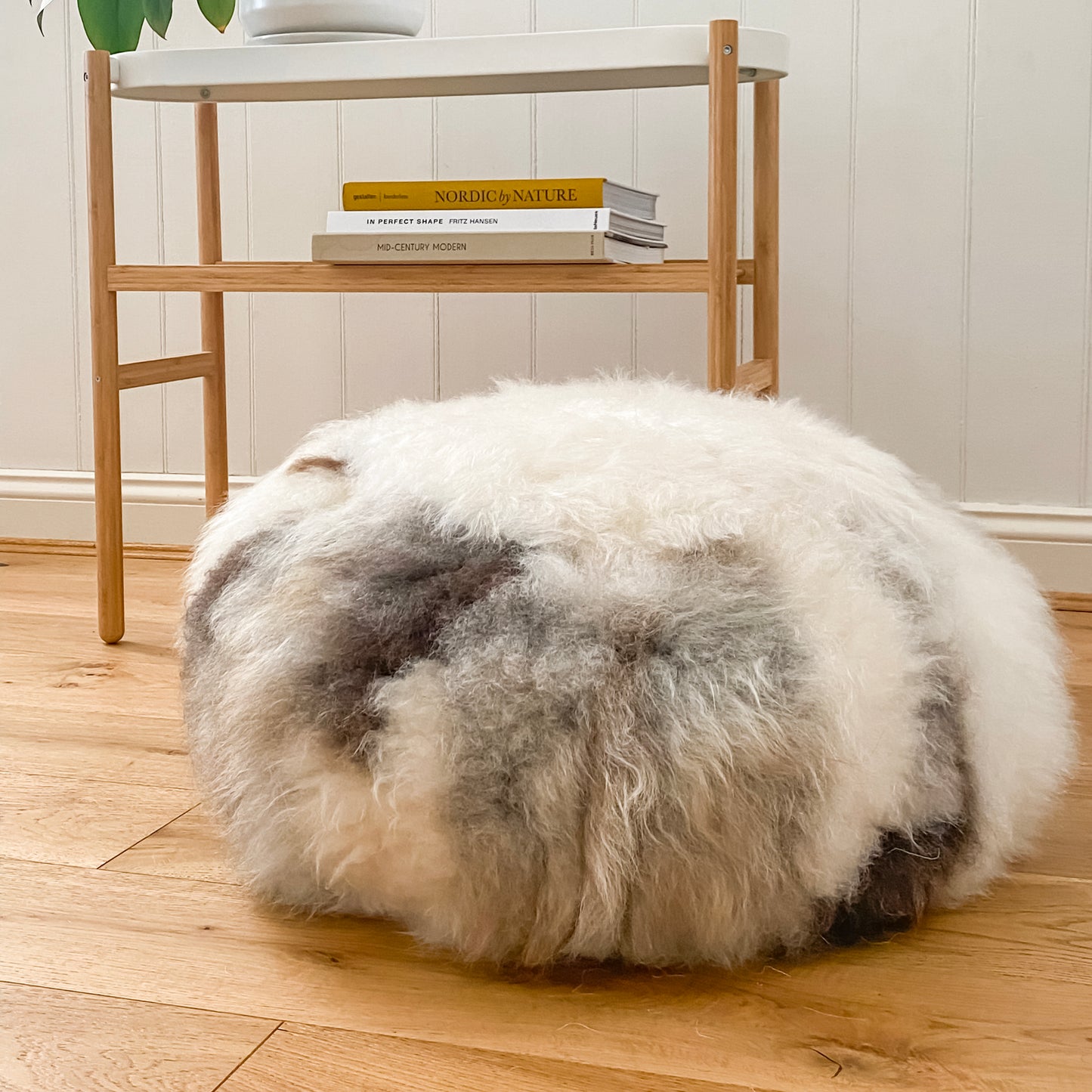 Lhasa Ottoman